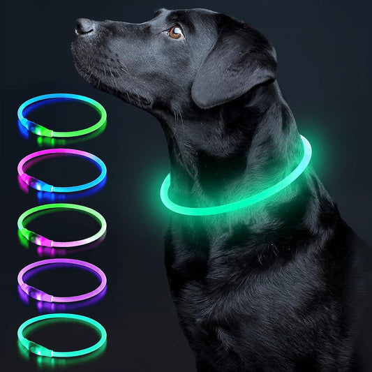 USB Rechargeable LED Dog Collar, TPU Dog Collar, Cyan. Provides bright light and safety, suitable for large, medium and small dogs.