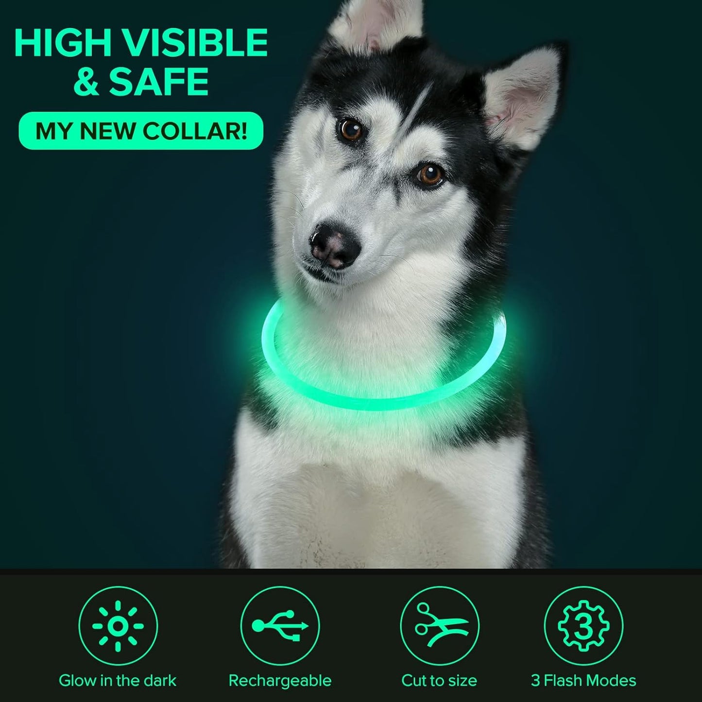 USB Rechargeable LED Dog Collar, TPU Dog Collar, Cyan. Provides bright light and safety, suitable for large, medium and small dogs.