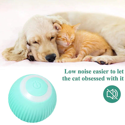 Electric Pet Toys Smart Ball Shape Cat Dog Toys Funny Automatic Rolling Ball Toys